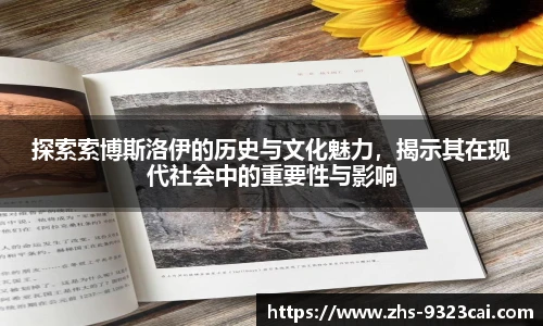 探索索博斯洛伊的历史与文化魅力,揭示其在现代社会中的重要性与影响